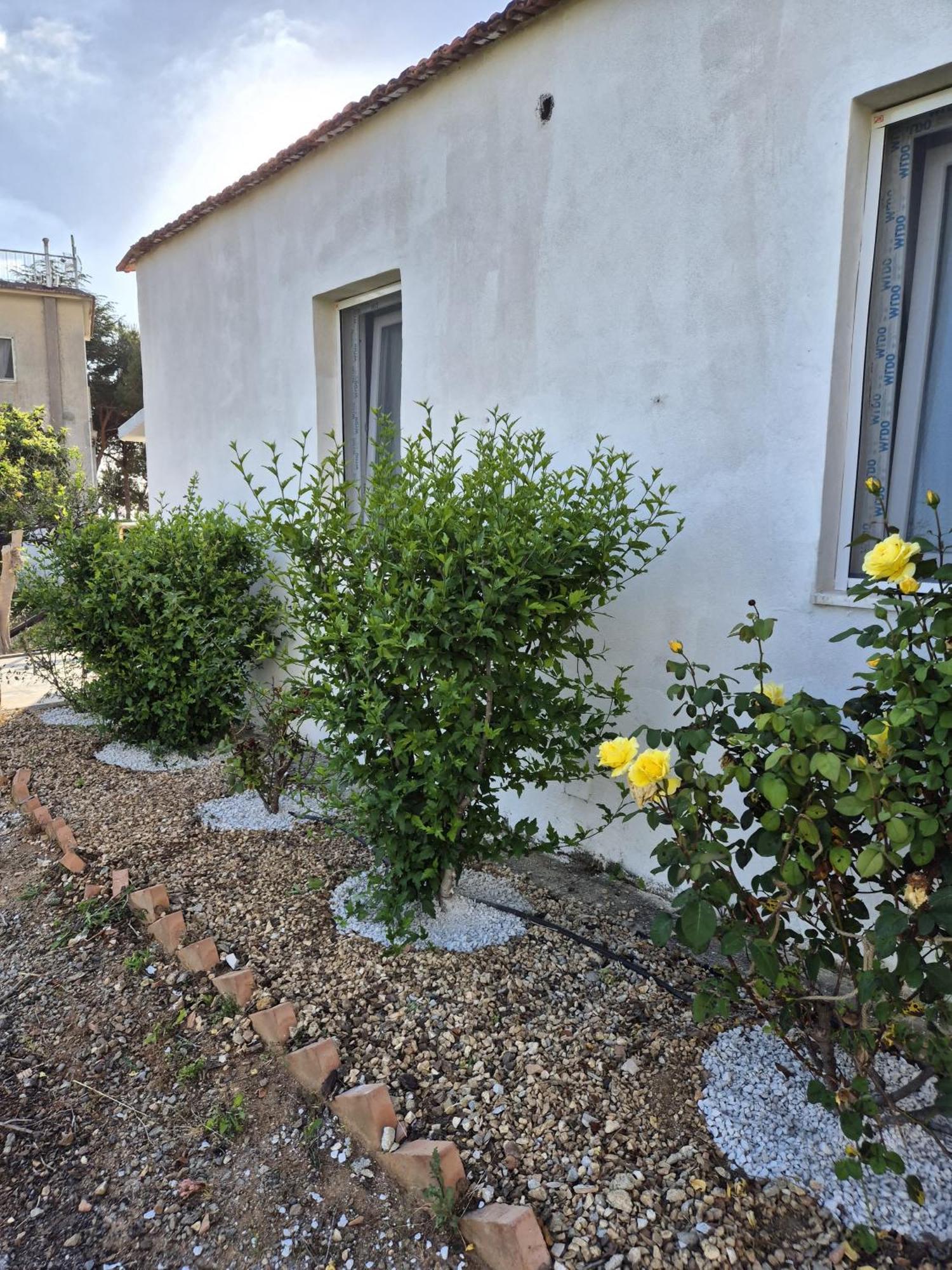 Villa Elvira Country House Belvedere Marittimo Exterior foto